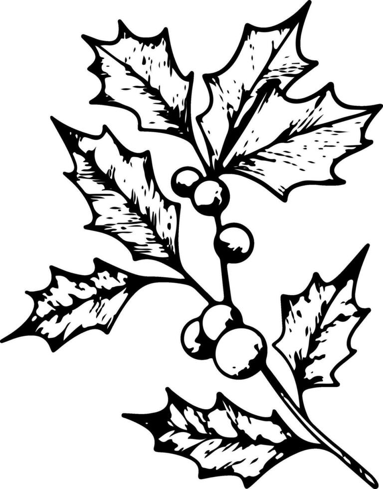 Noël ligne art de chêne vert branches avec baies. houx feuilles. botanique myrtille graphique. main peint contour illustration pour mariage invitation, paquet, carte vecteur