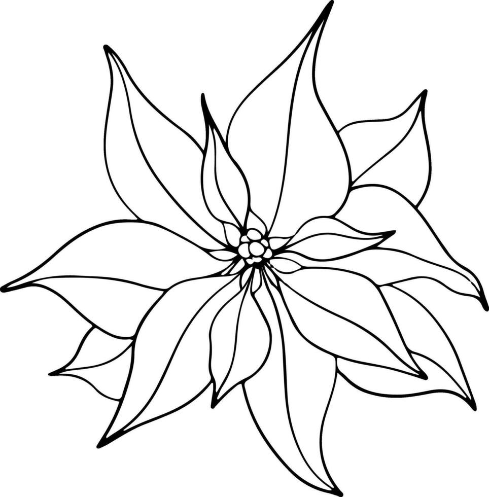 poinsettia fleurs, hiver étoile fleur. botanique ligne art élément. encre graphique. main peint contour illustration pour Noël ou Nouveau année salutation carte conception, vacances décoration, mariage vecteur