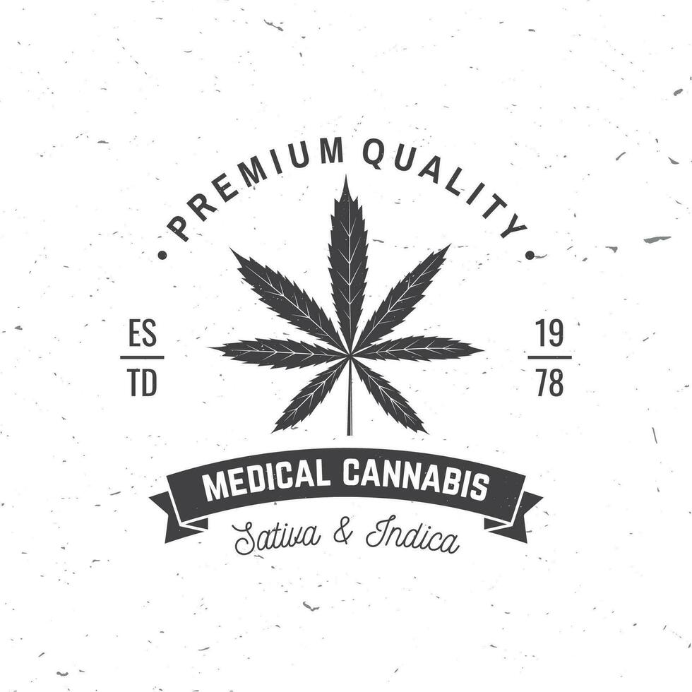 médical cannabis badge, étiquette avec cannabis feuille et ruban. vecteur ancien typographie logo conception avec cannabis feuille et ruban silhouette pour cannabis boutique, cannabis, marijuana livraison un service