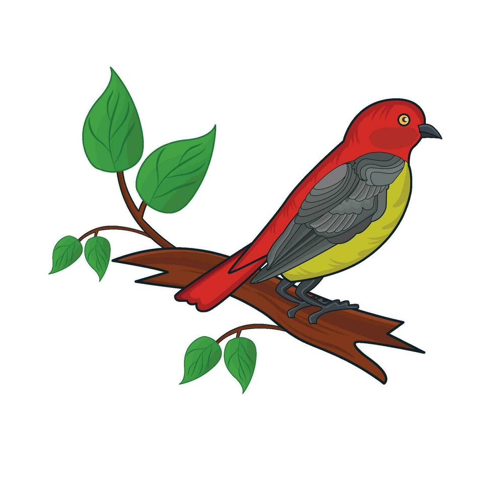 illustration d'oiseau vecteur