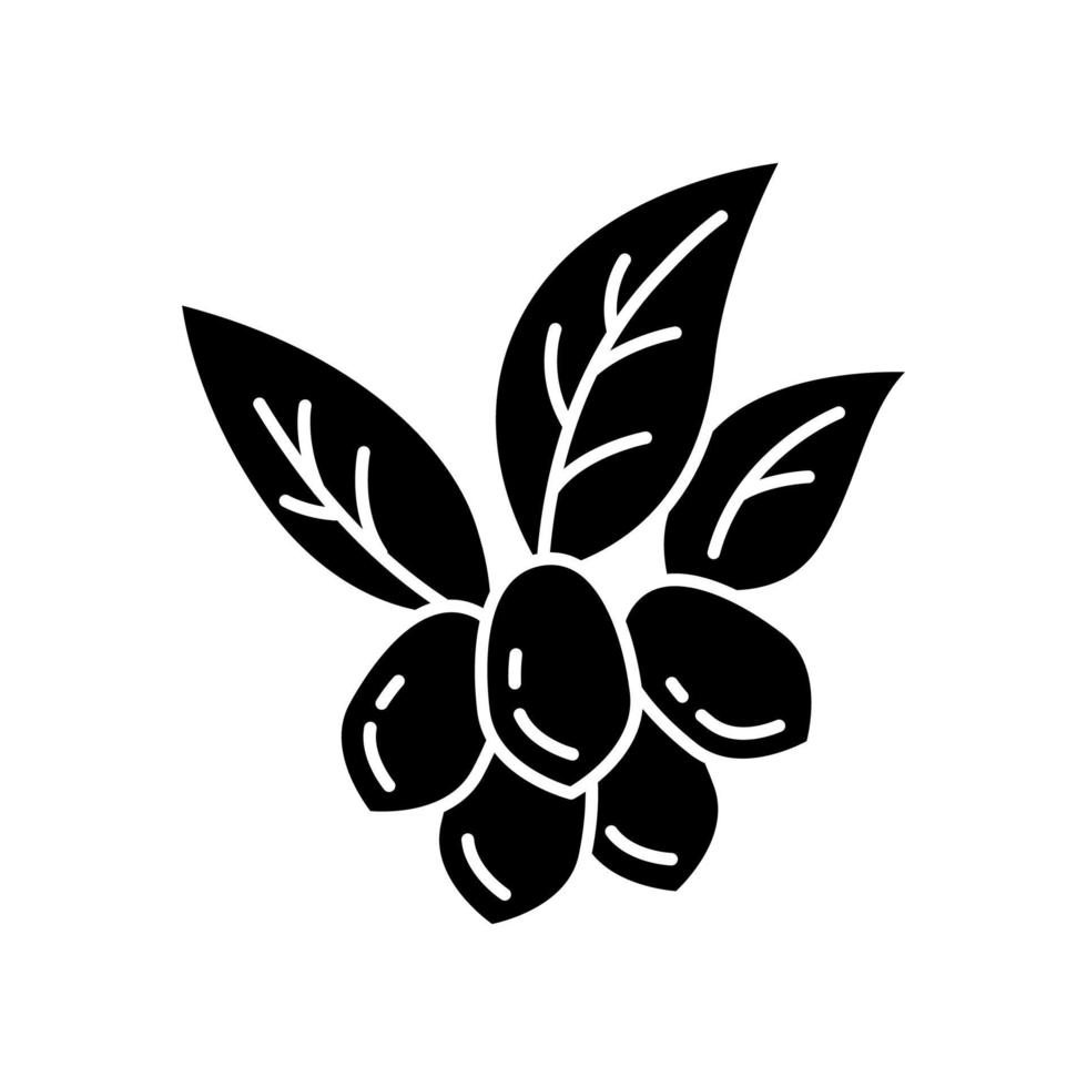 icône de glyphe noir de jojoba vecteur
