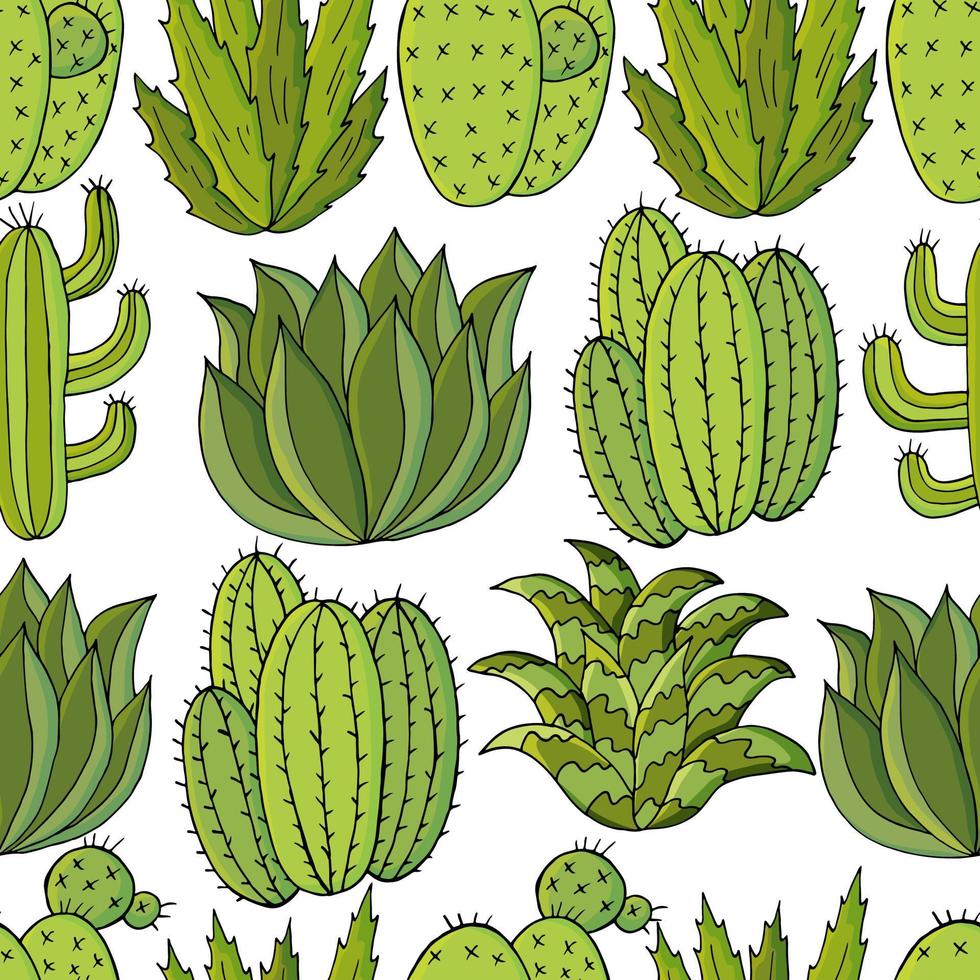 illustration vectorielle mignon. cactus, aloès, succulentes. éléments naturels décoratifs vecteur