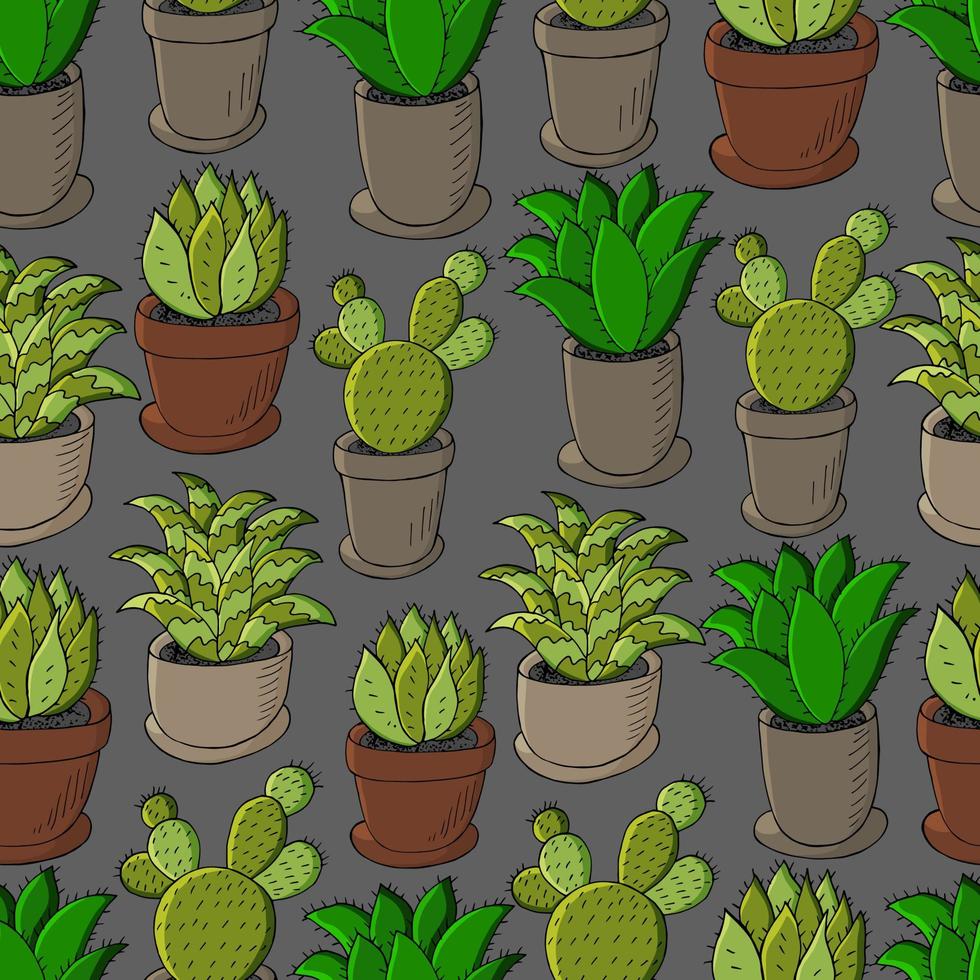 illustration vectorielle mignon. cactus, aloès, succulentes. éléments naturels décoratifs vecteur
