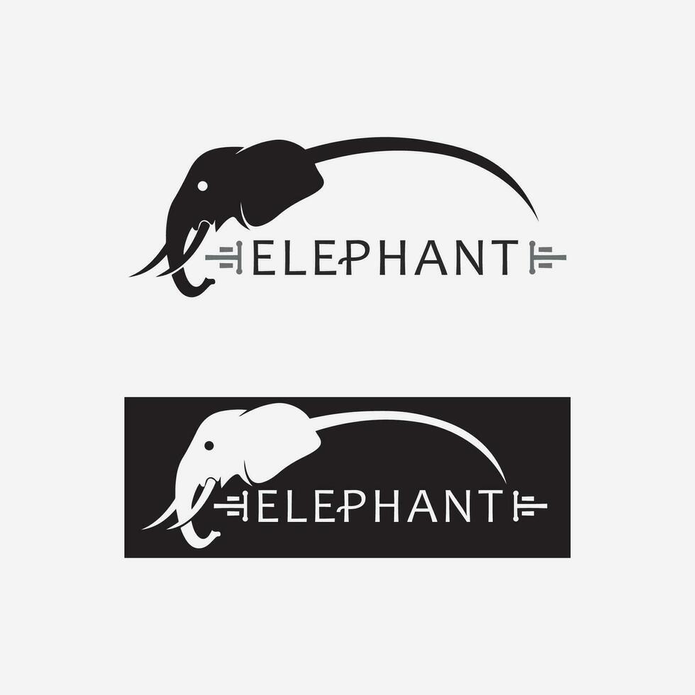 modèle de conception d'illustrateur de vecteur de logo d'éléphant