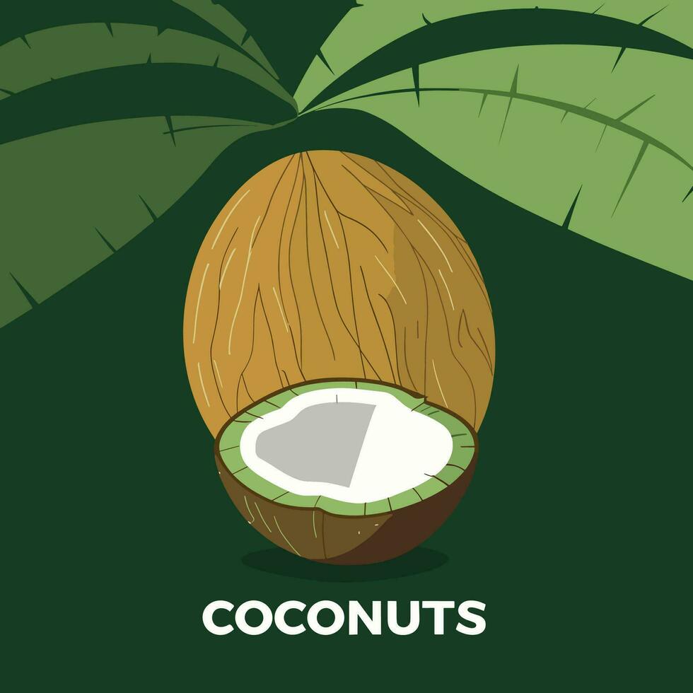 noix de coco vecteur illustration