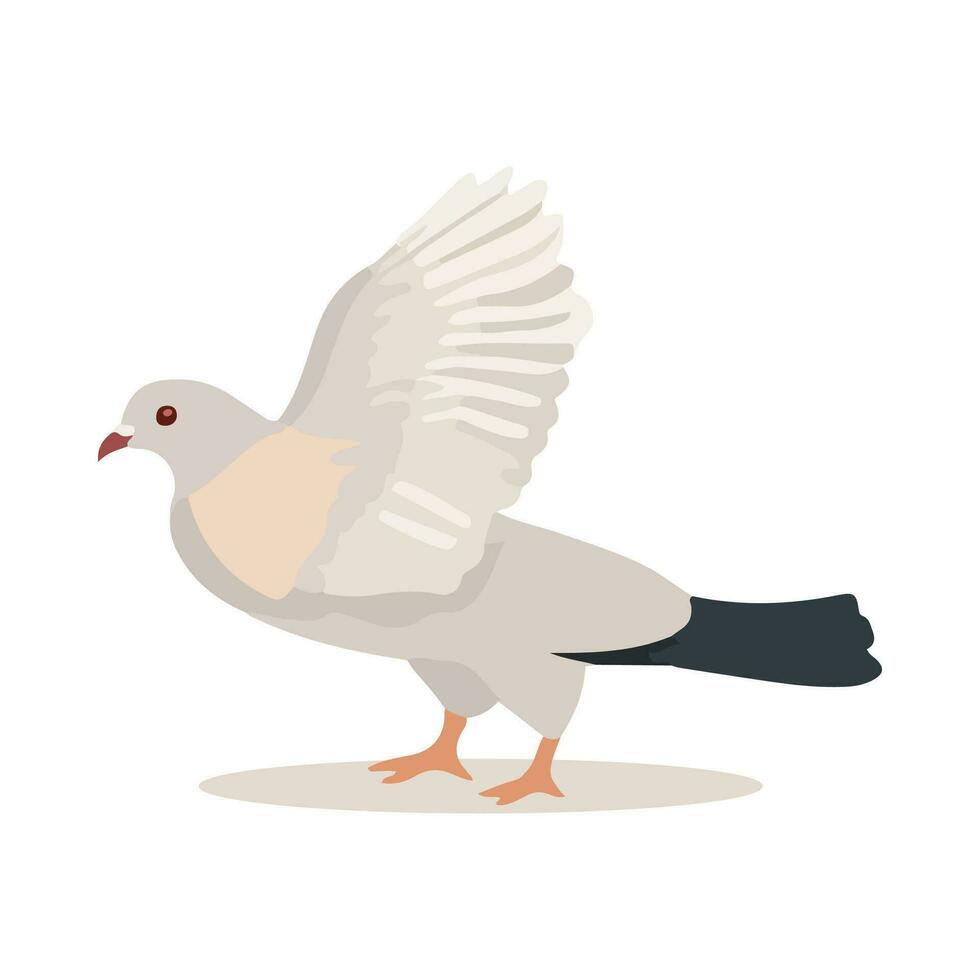 Pigeon oiseau isolé sur blanc Contexte. dessin animé style. vecteur illustration.