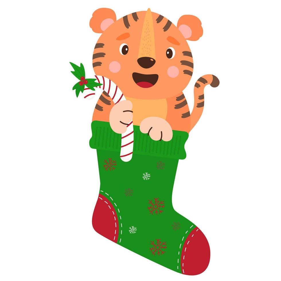 adorable petit tigre dans une chaussette verte de Noël avec des bonbons au caramel et du gui du nouvel an vecteur