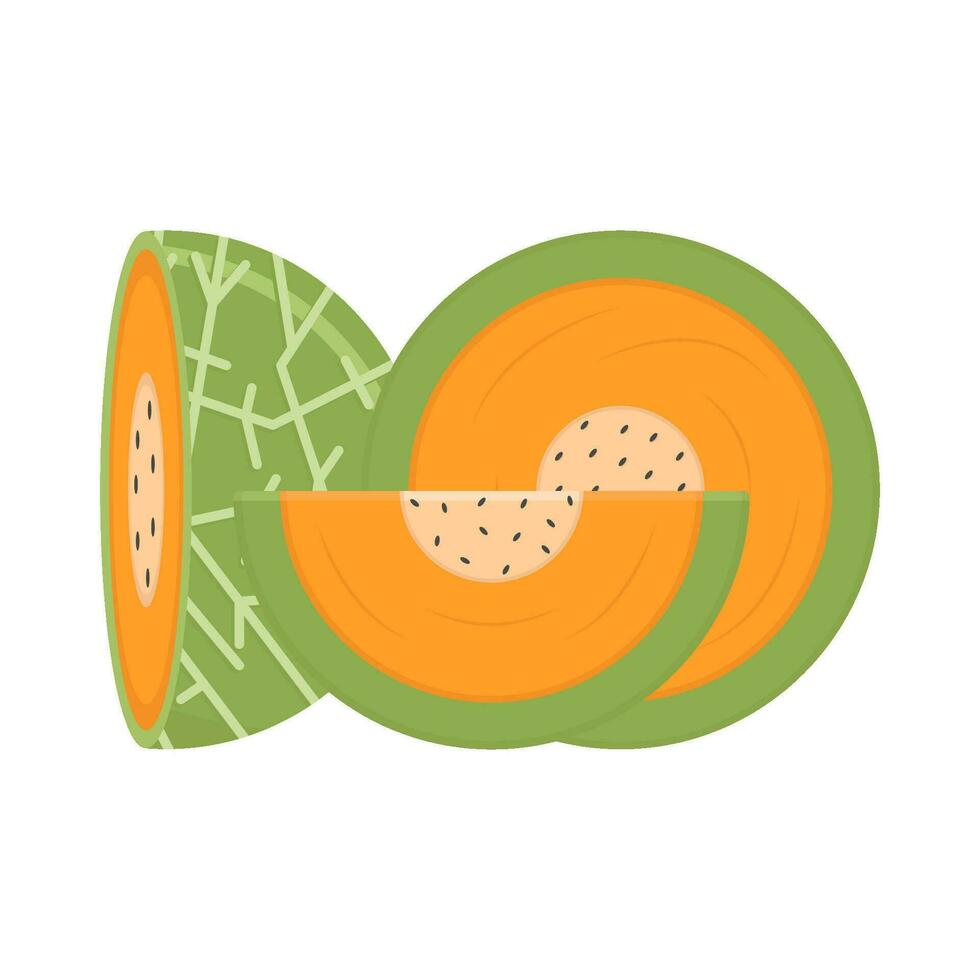 cantaloup tranche illustration vecteur