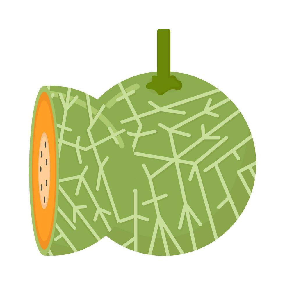 cantaloup avec cantaloup tranche illustration vecteur