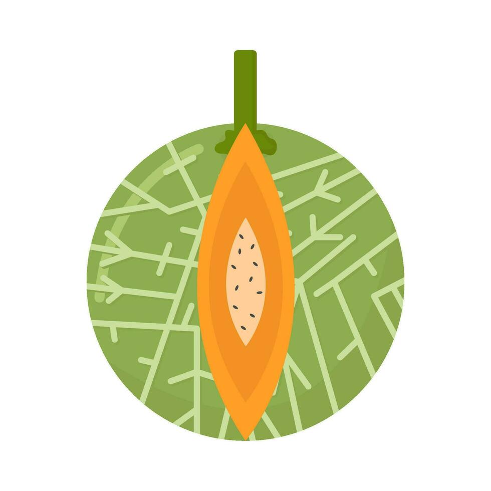 cantaloup tranche fruit illustration vecteur