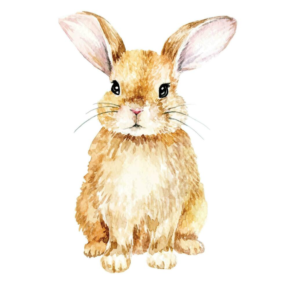 dessin à l'aquarelle. lapin mignon. lapin de Pâques, lièvre isolé sur clipart fond blanc. dessin réaliste, illustration dessin à l'aquarelle. lapin mignon. lapin de pâques, lièvre isolé sur fond blanc vecteur