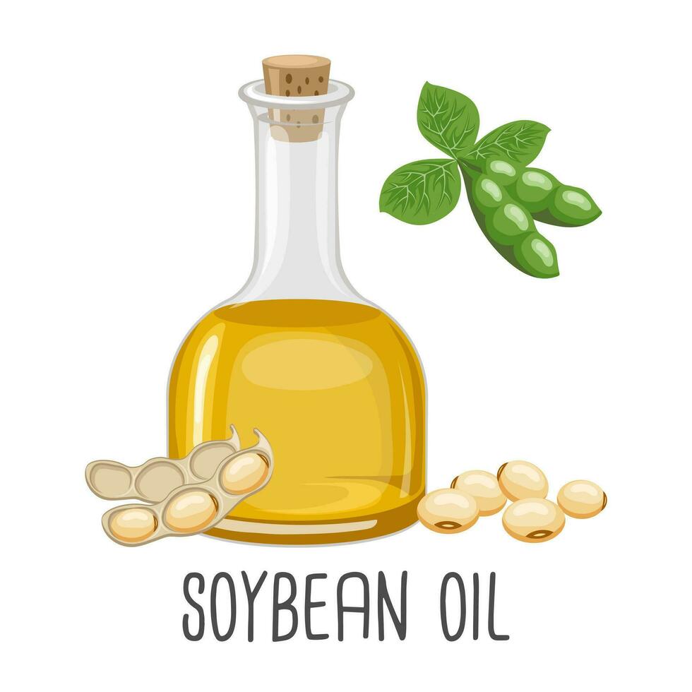 soja huile, graines, dosettes et soja plante. soja la graine pétrole dans une bouteille. aliments. illustration, vecteur