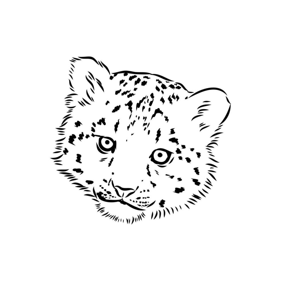 neige léopard vecteur esquisser