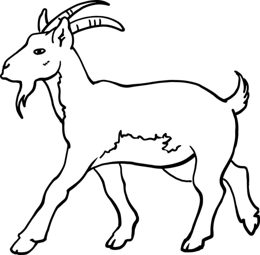 une chèvre est une ferme animal. linéaire dessin de une en marchant chèvre dans profil. bétail. pour vétérinaire cliniques et fermes. pour impression panneaux, dépliants, pour impression sur vaisselle et vêtements. vecteur image.