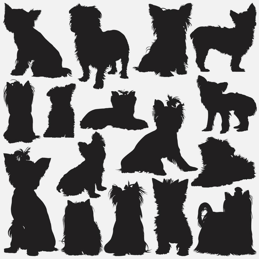 Yorkshire terrier silhouette ensemble vecteur