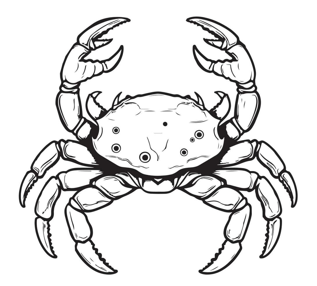 Crabe main tiré esquisser dans bande dessinée style coloration livre vecteur