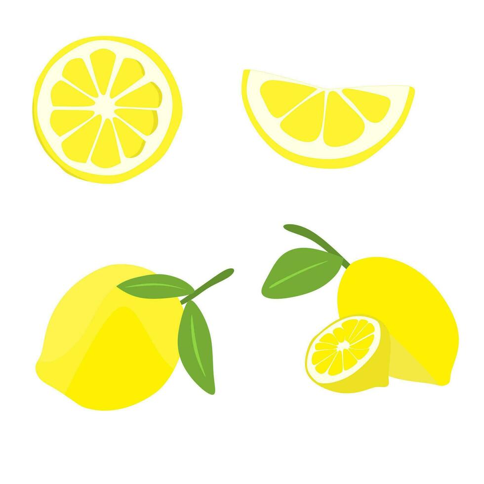 citron fruit clipart vecteur collection