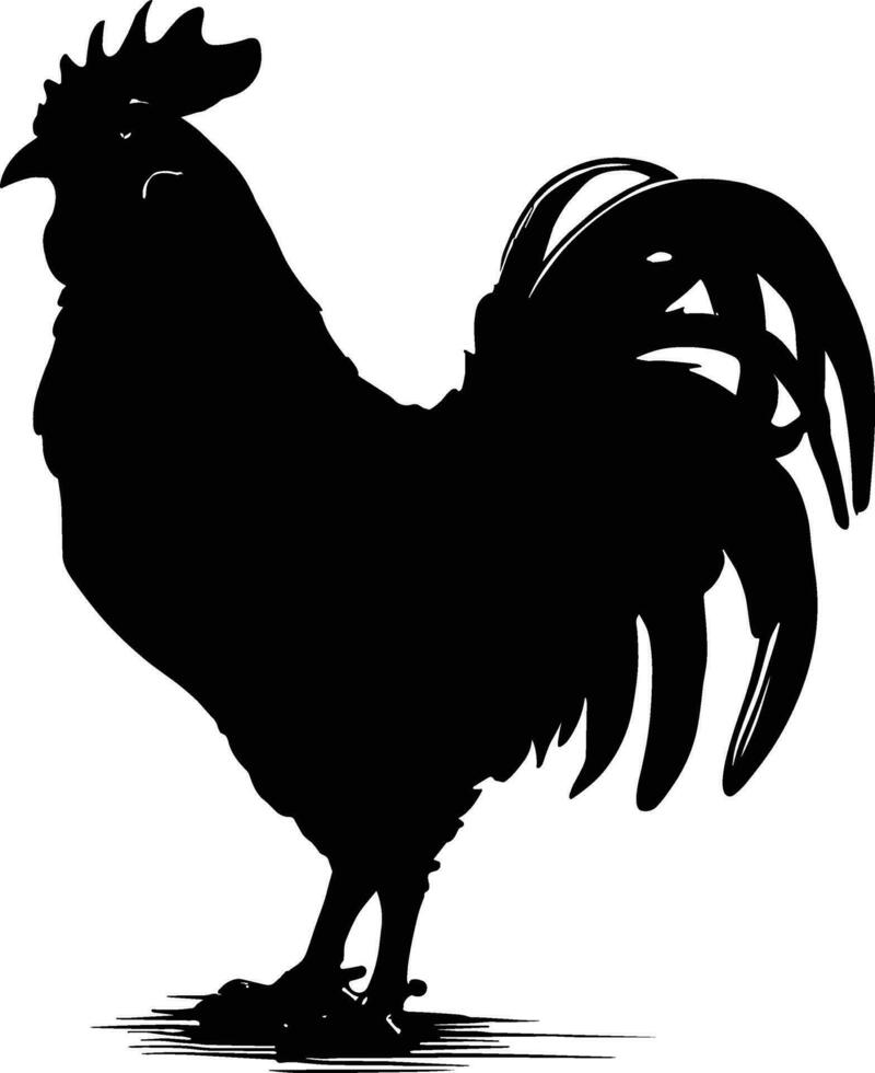 vecteur illustration. noir silhouette de une coq permanent sur un jambe. isolé sur une blanc Contexte.