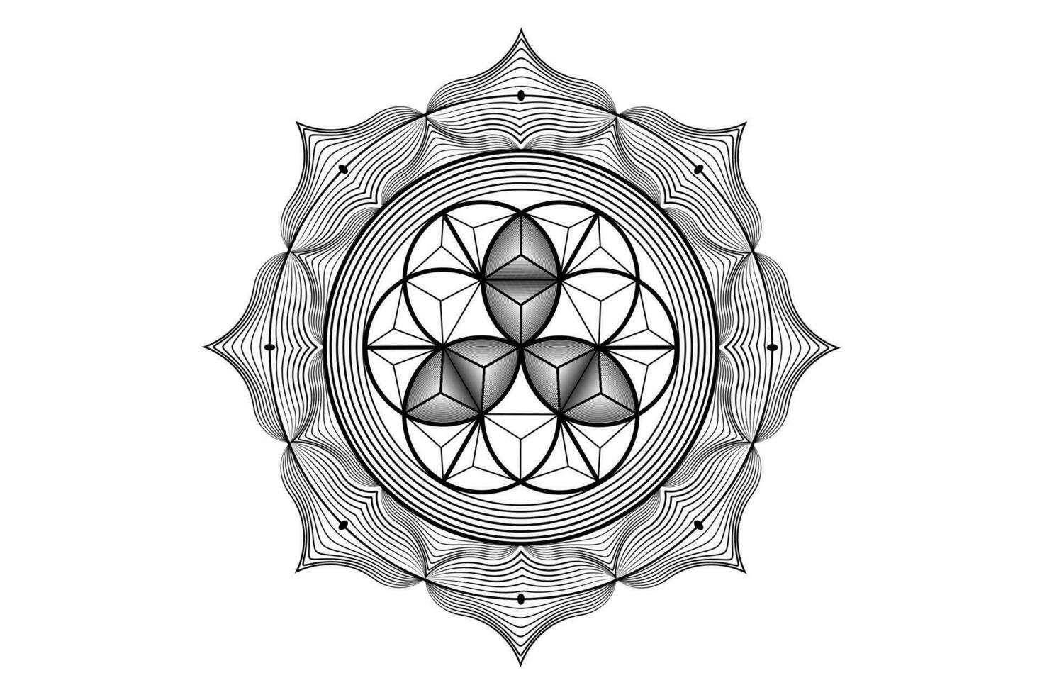 sacré lotus yantra mandala, mystique fleur de vie. sacré géométrie, vecteur logo graphique élément isolé. mystique icône la graine de vie, 3d géométrique dessin, ésotérique lotus fleur sur blanc Contexte