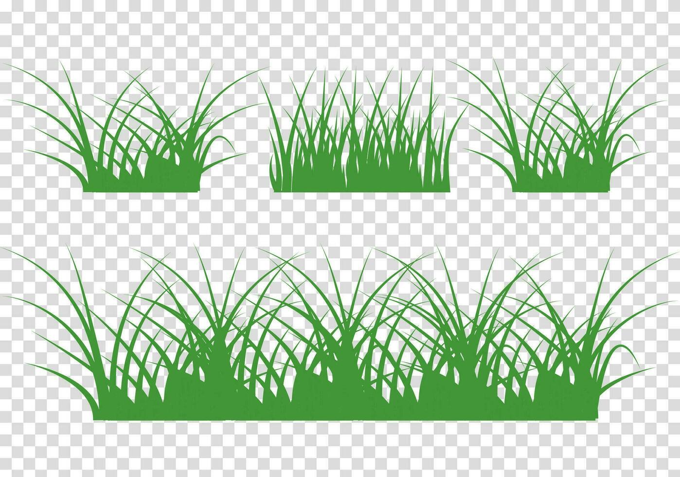 ensemble de vert herbe illustration vecteur sur blanc Contexte. herbe agrafe art isolé vecteur élément ensemble. horizontal panorama herbe illustration ensemble.