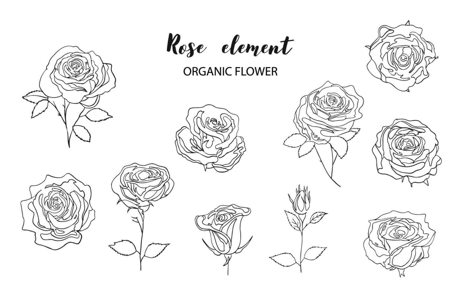 contour Rose objet élément ensemble avec feuille.illustration vecteur pour carte postale, autocollant