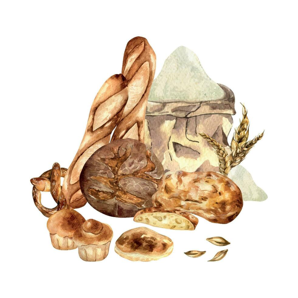 aquarelle illustration de variété pain et artisanat sac avec farine isolé sur blanche. main tiré compositions de pain ciabatta, baguette, pitta. peint seigle pain. élément pour conception une boulangerie, emballage vecteur