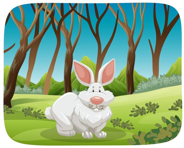 Lapin blanc en scène de nature vecteur