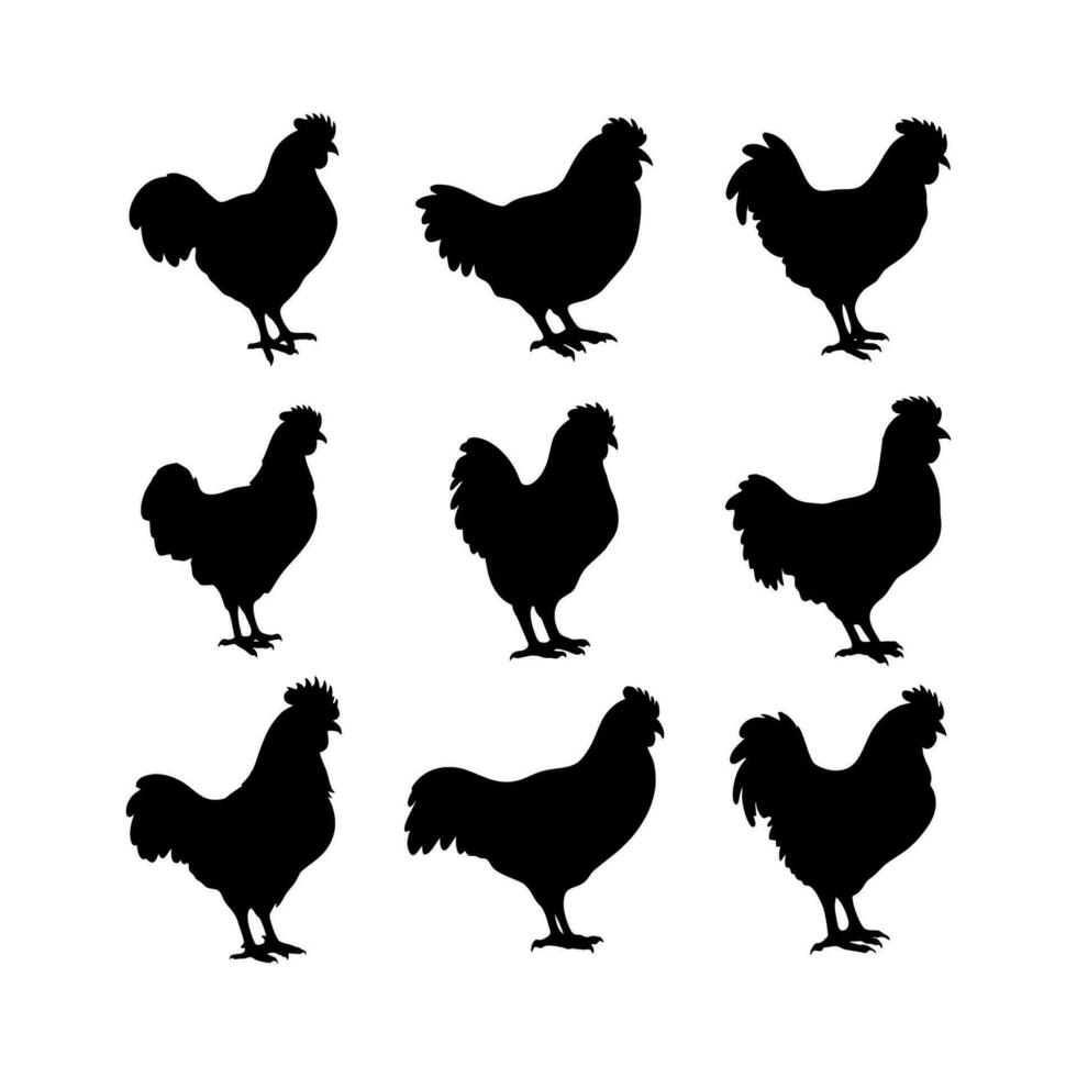 poulet silhouette ou poule silhouettes vecteur illustration pack