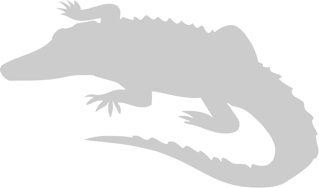 alligator vecteur