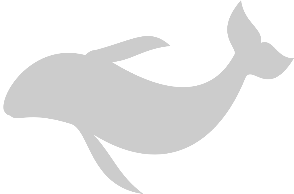dauphin vecteur