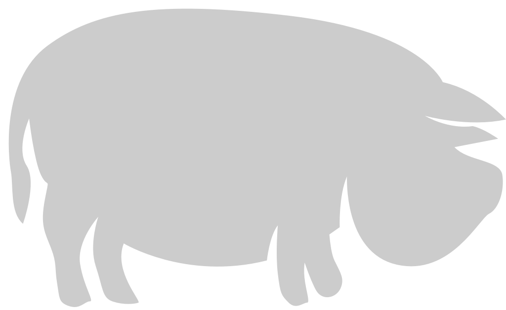 porc vecteur