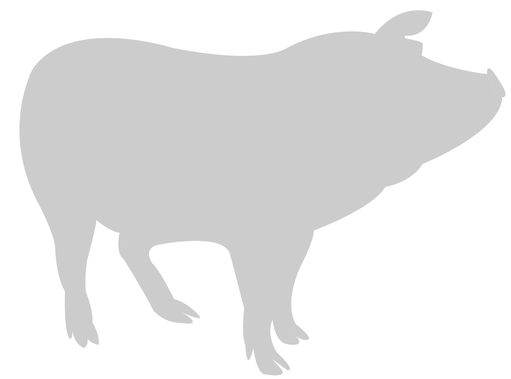 porc vecteur