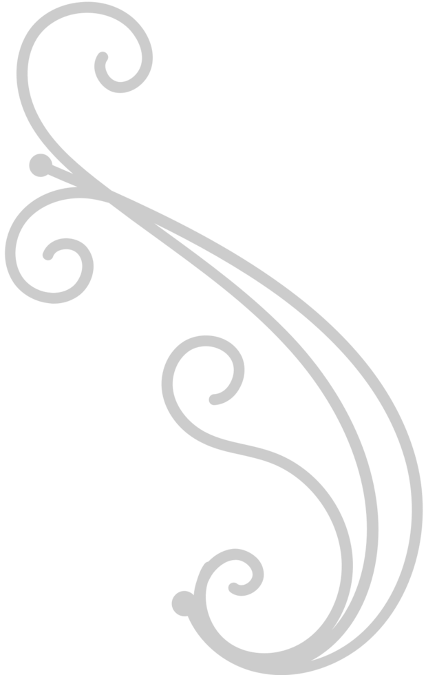 décoration ligne arabesco vecteur