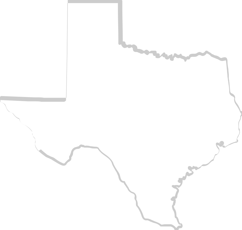 carte du Texas vecteur