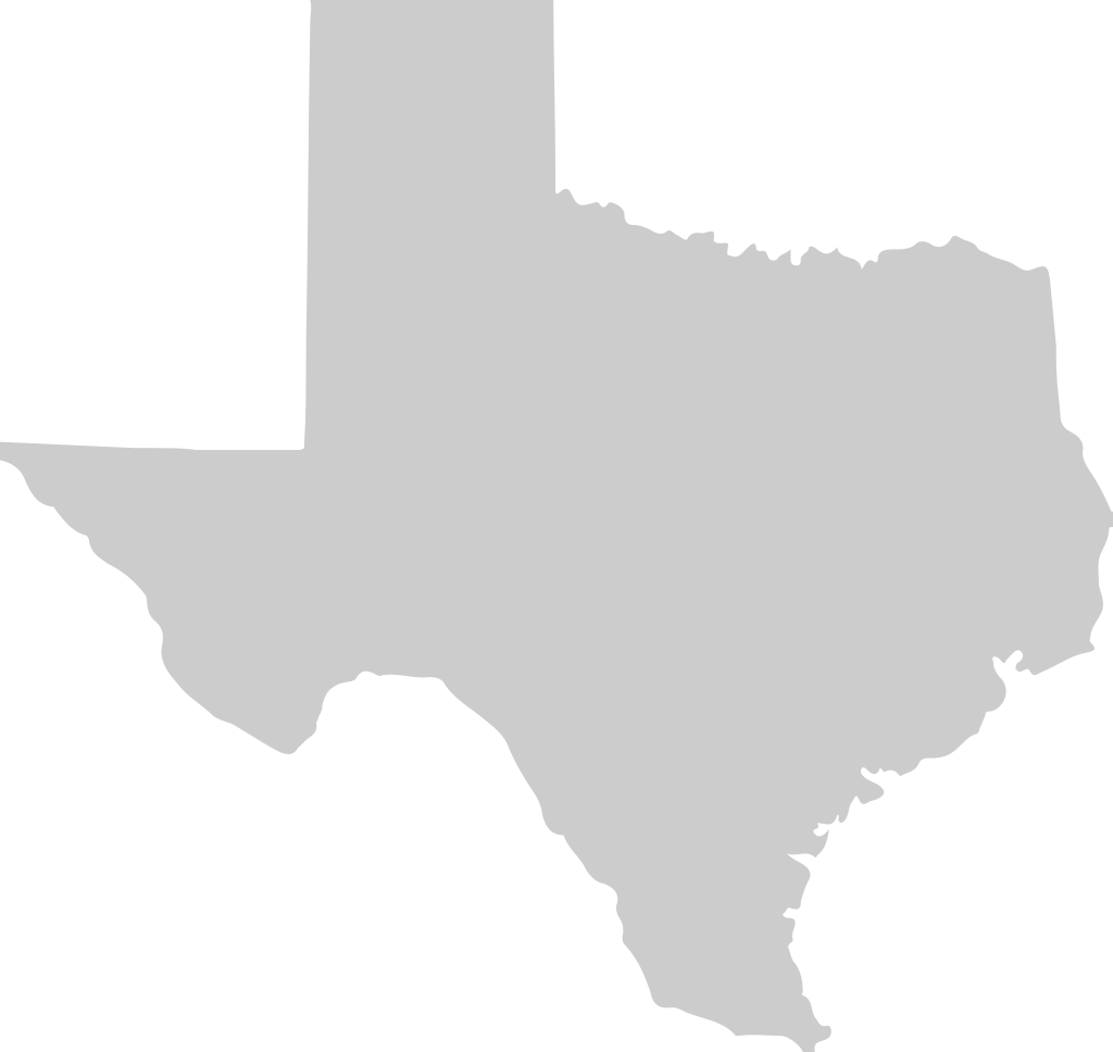 carte du Texas vecteur