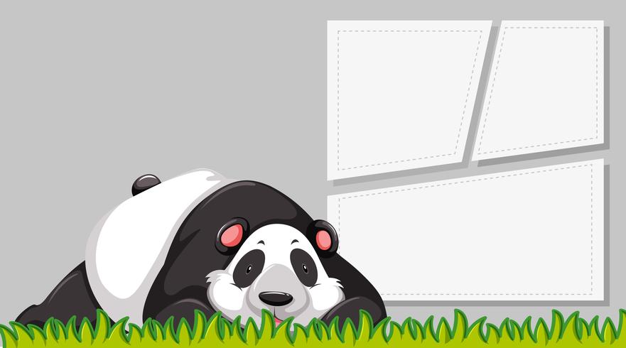 Un panda sur une bannière vierge vecteur