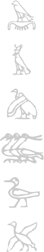 égyptien hiéroglyphique vecteur