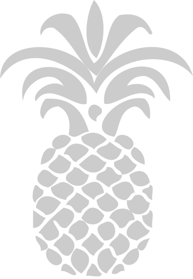 ananas vecteur