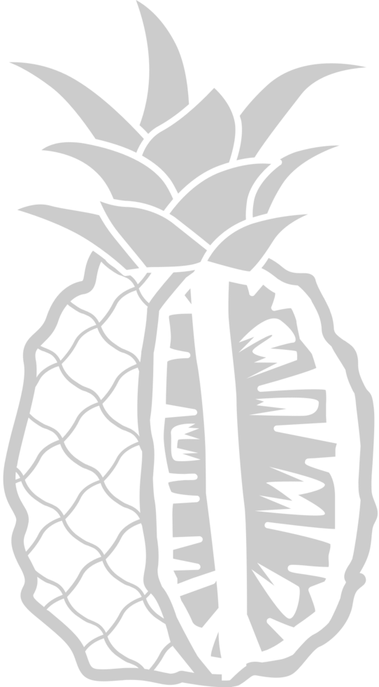 tranches d'ananas vecteur