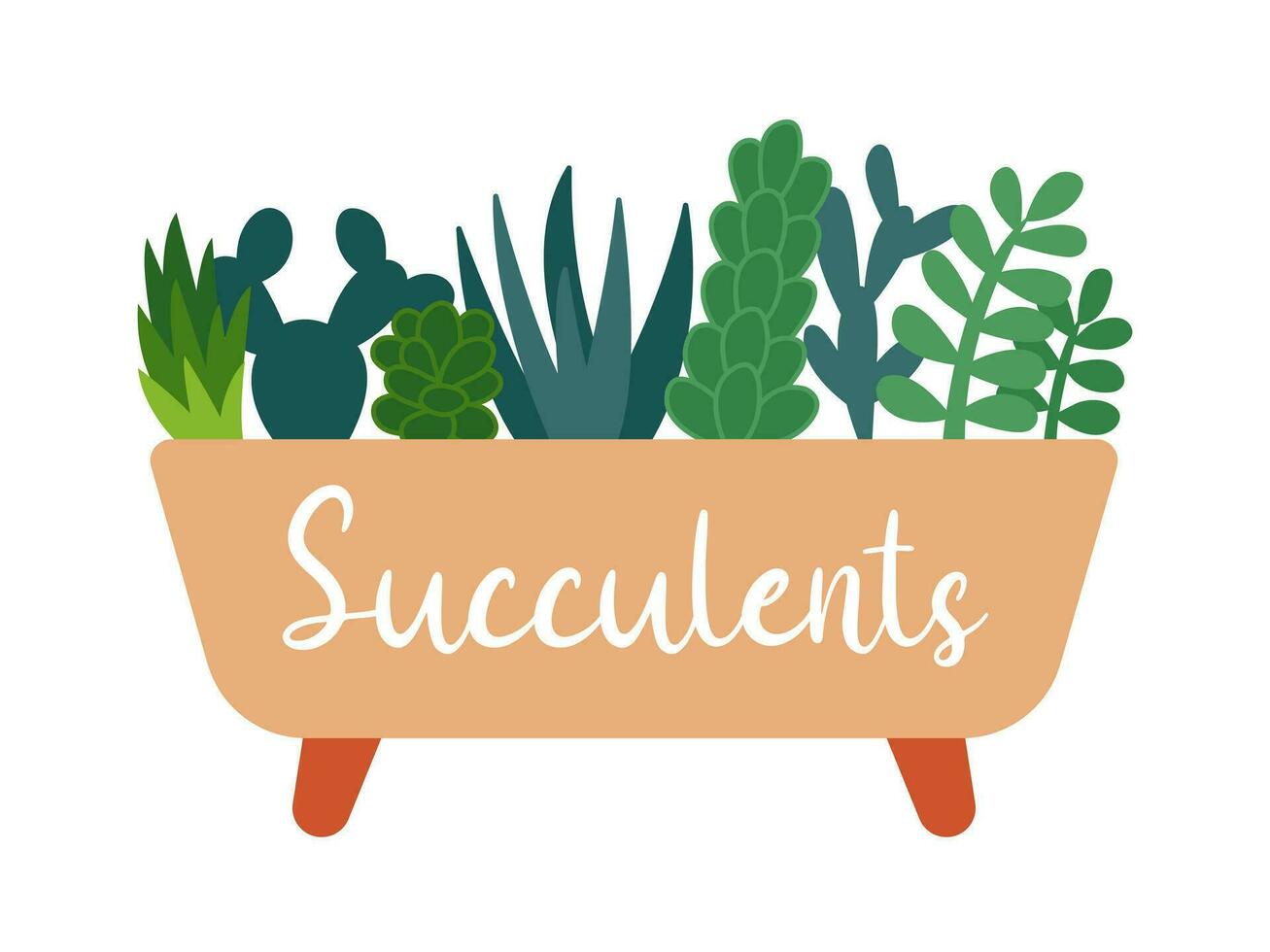 succulent les plantes dans pot vecteur illustration. plat style céramique pot avec plantes succulentes