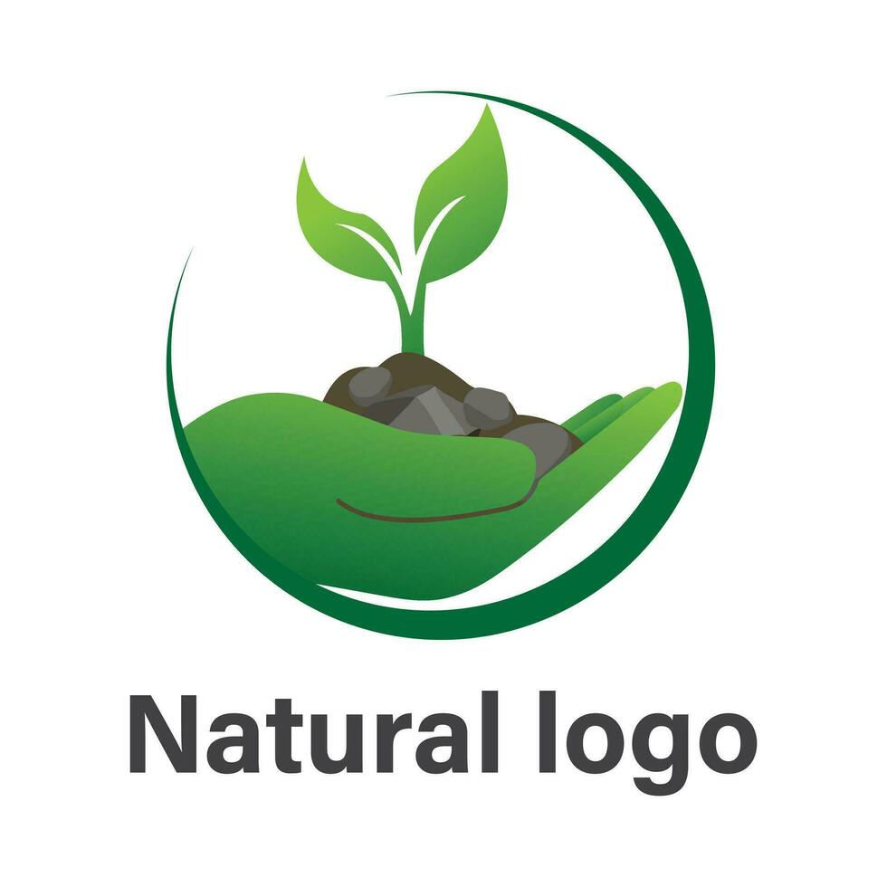 Naturel logo conception vecteur modèle