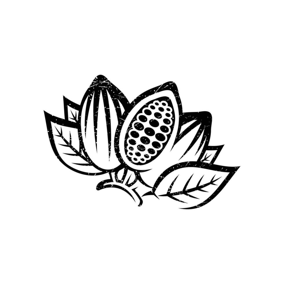 cacao cosse isolé sur blanc Contexte. logo modèle. cacao haricots. vecteur illustration.