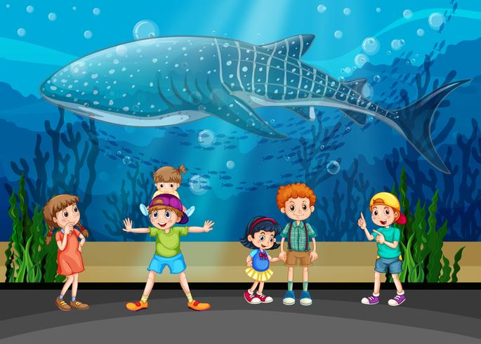 Enfants et épaulards en aquarium vecteur