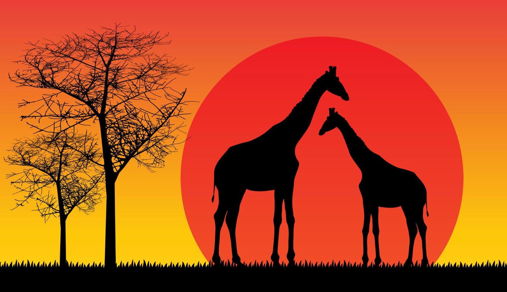girafe safari faune afrique coucher de soleil, animaux isolés vecteur