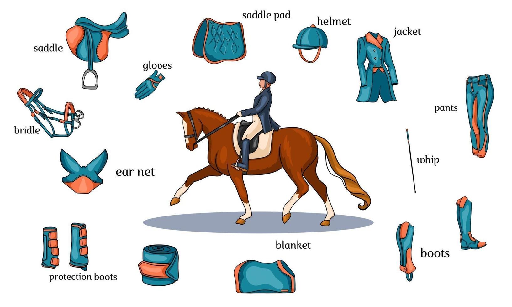 infographie de sport équestre harnais de cheval et équipement de cavalier au centre d'un cavalier sur un cheval en style cartoon vecteur