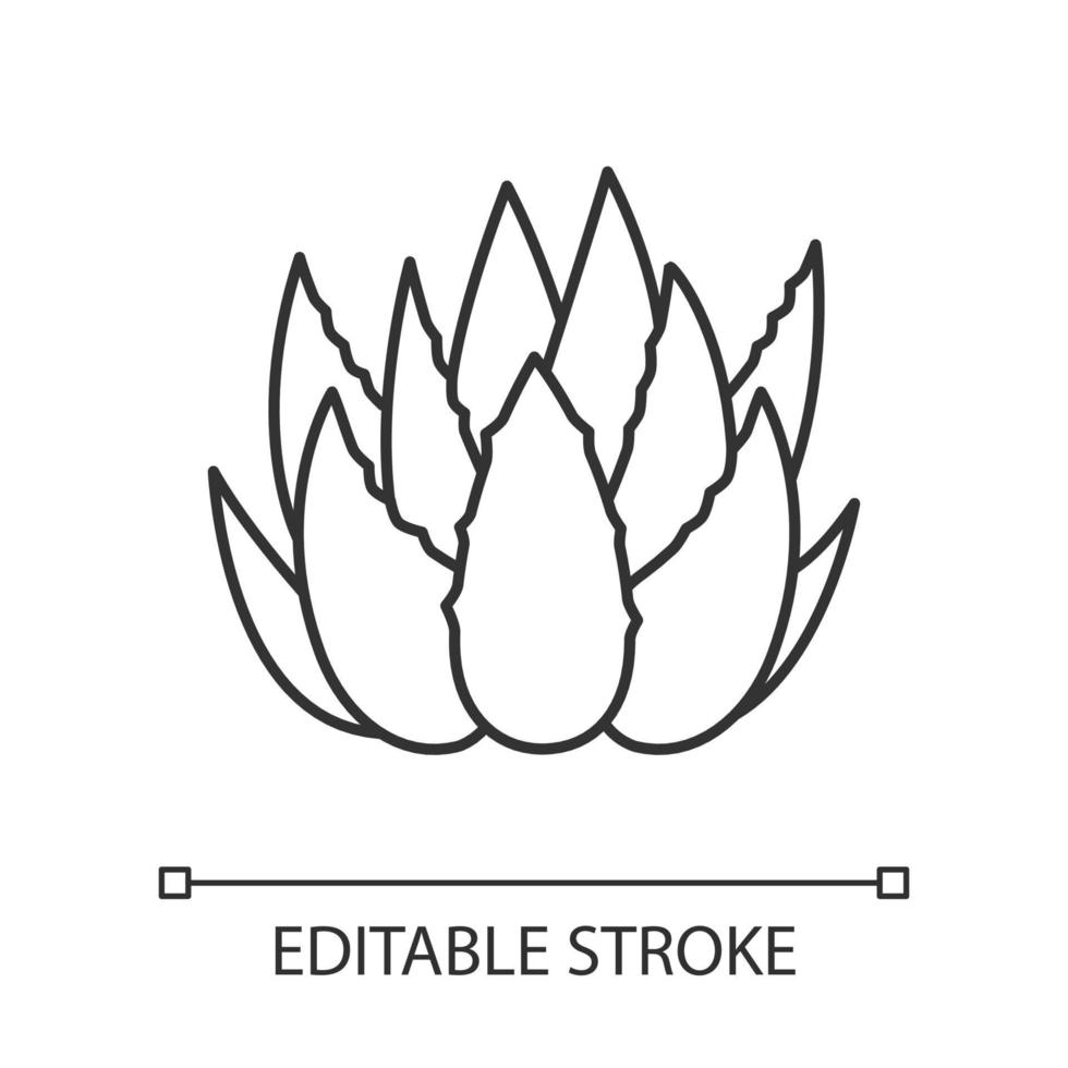 icône linéaire parfaite de pixel de pousses de cactus. feuilles d'aloe vera. plante médicinale en croissance. illustration personnalisable de fine ligne. symbole de contour. dessin de contour isolé de vecteur. trait modifiable vecteur