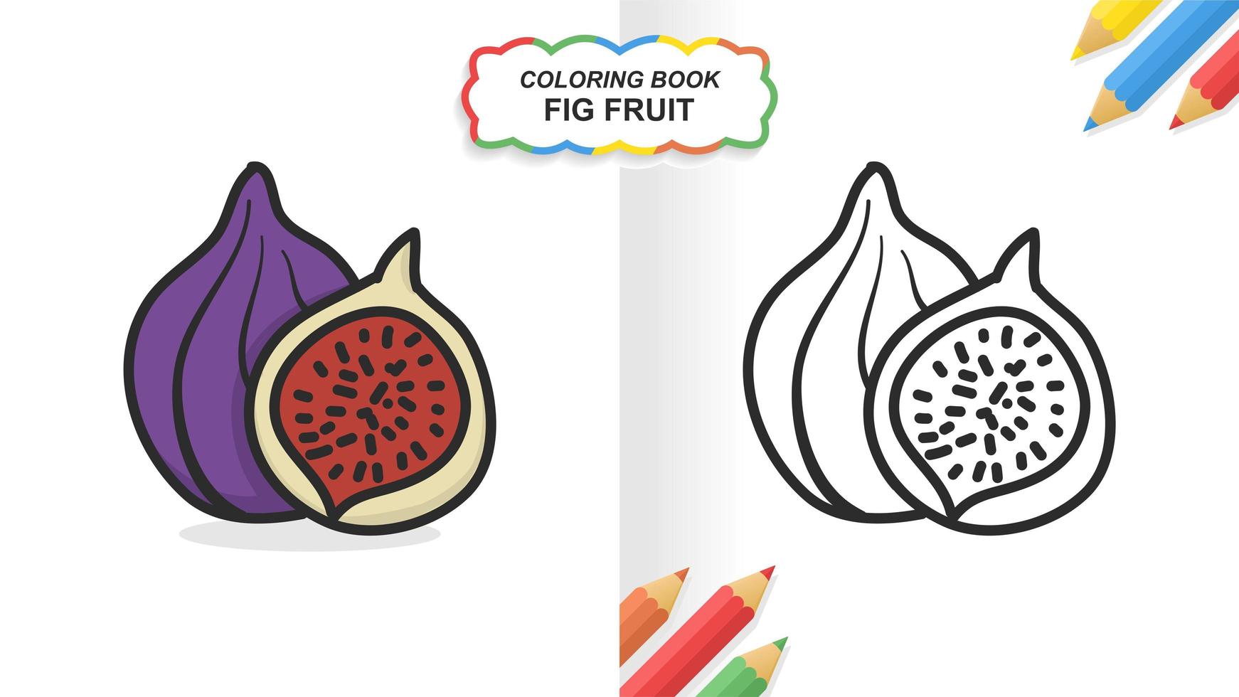 livre de coloriage dessiné à la main de fruits de figue pour l'apprentissage. couleur plate prête à imprimer vecteur