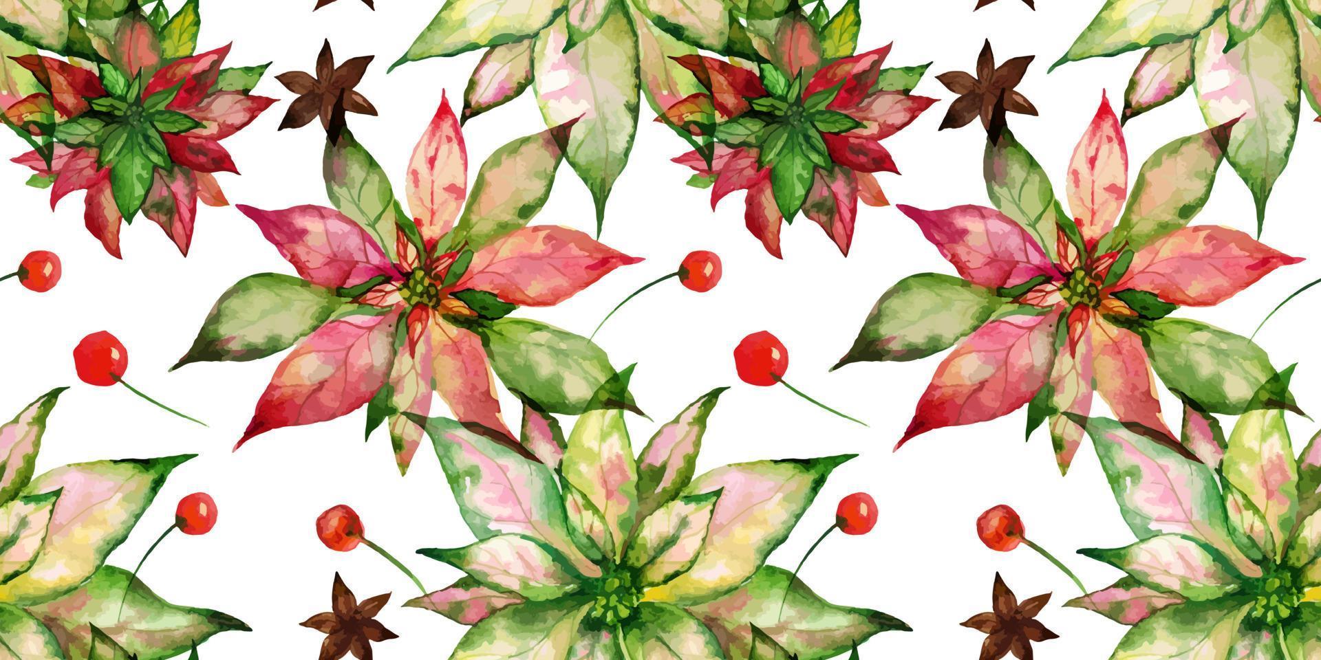 Noël tracé aquarelle transparente motif floral sur fond blanc. poinsettia et sapin et baies d'hiver. décor pour les textiles de noël et du nouvel an et le papier d'emballage et les cartes de voeux vecteur