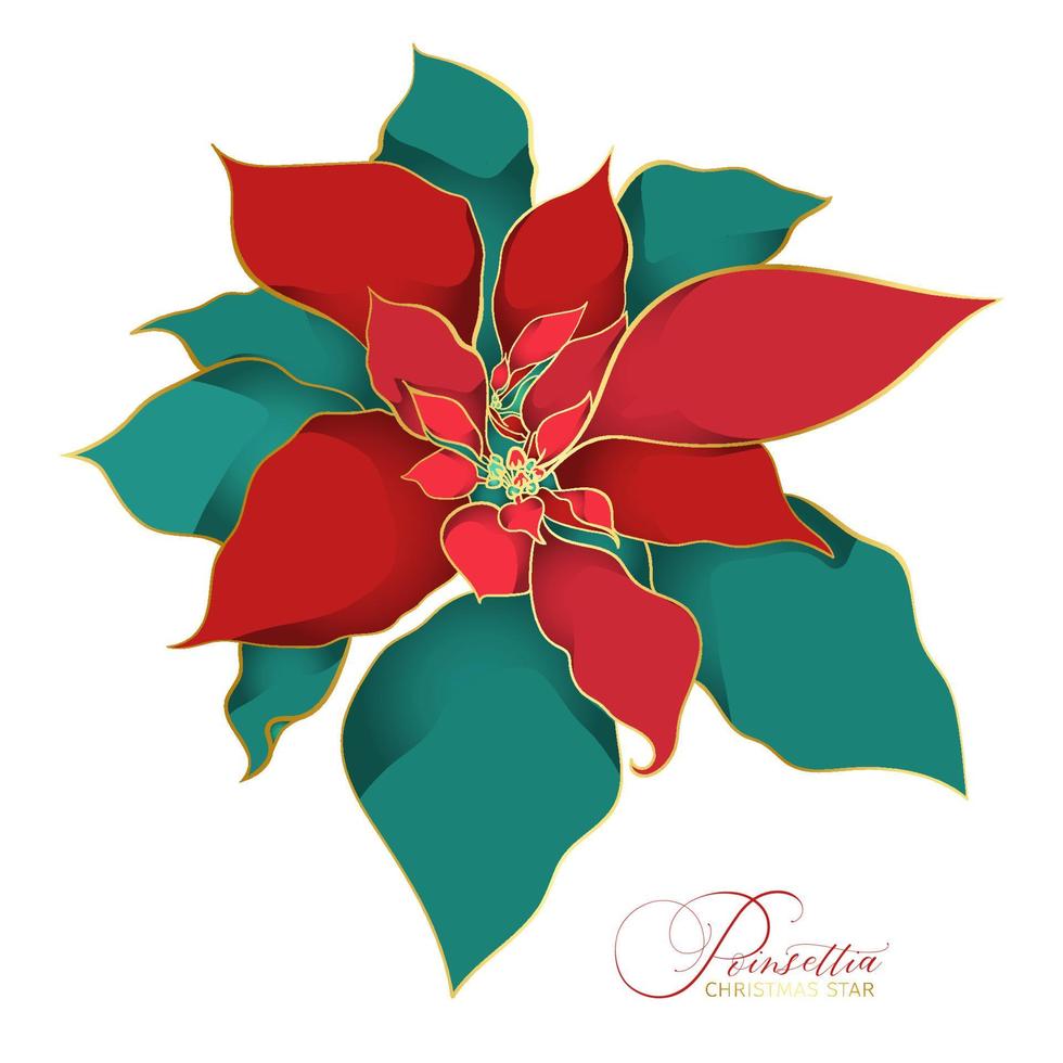 fleur d'étoile de noël poinsettia. une branche de feuilles de soie verte et rouge avec une ligne dorée en filigrane dans une tendance asiatique. décorations élégantes et luxueuses pour les fêtes de noël vecteur