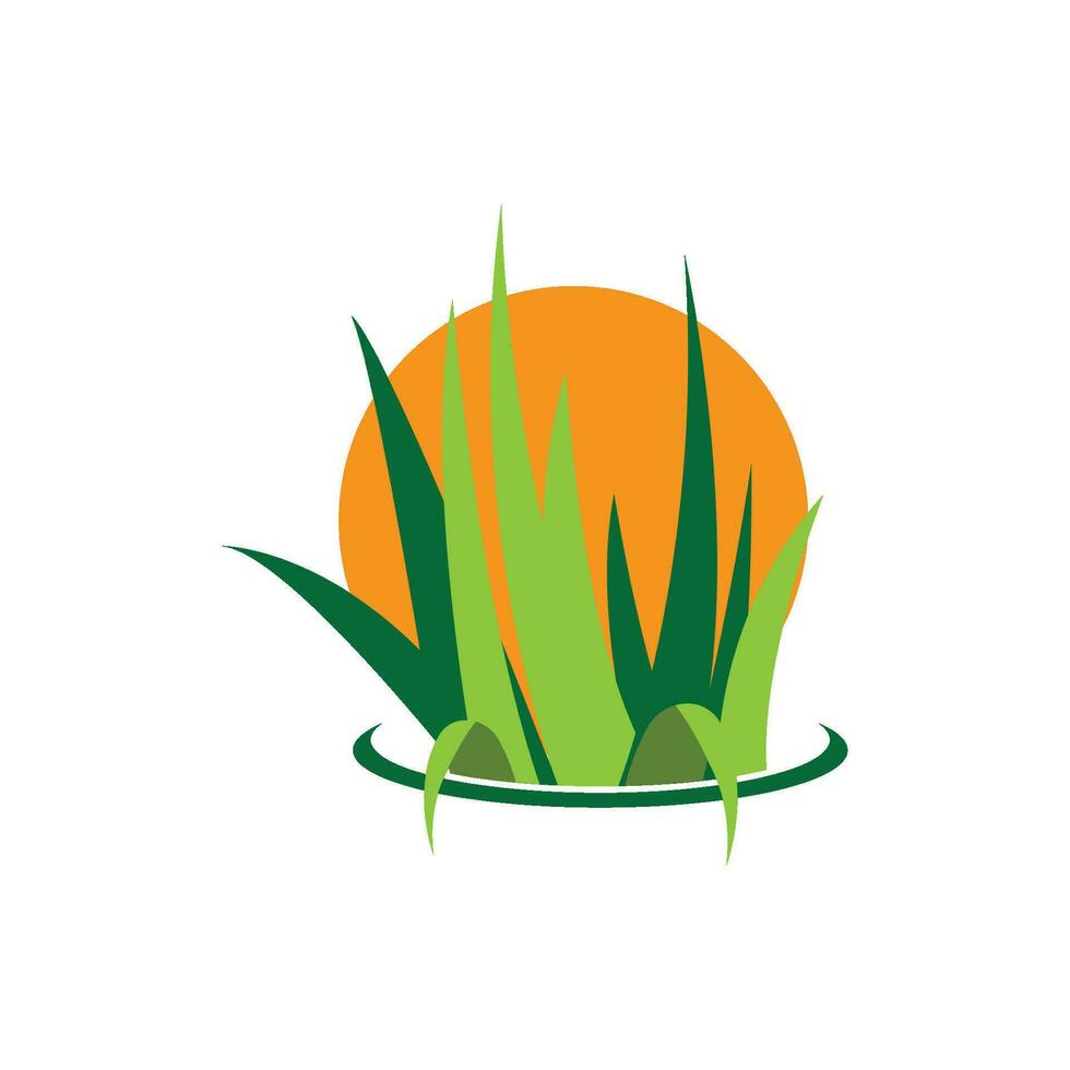 modèle de vecteur de logo d'herbe